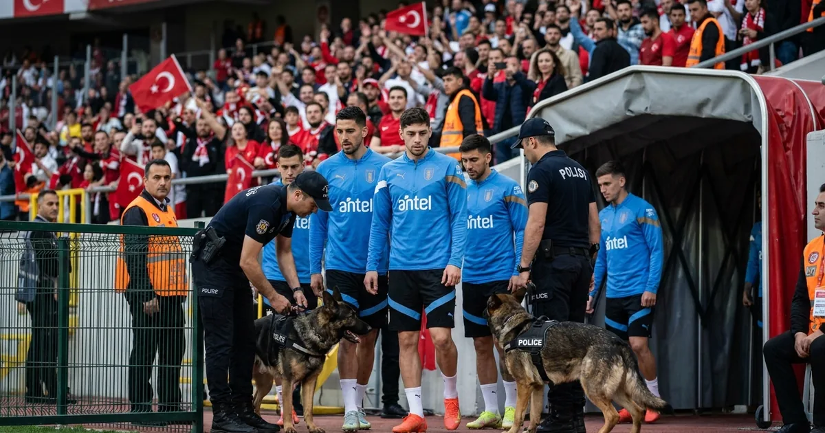 Dünya Kupası'nda skandal: Futbolculara köpekli arama - Bosna Haber