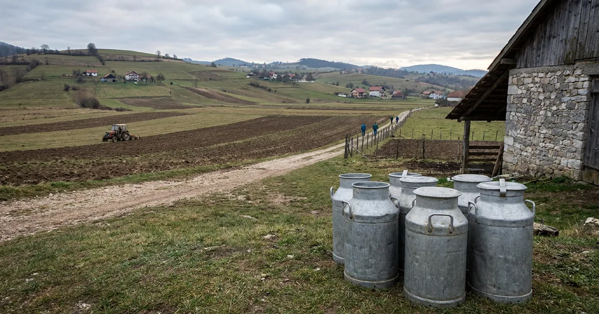 Tuzla Kantonu'nda süt krizi: Üretim maliyetleri artıyor - Bosna Haber