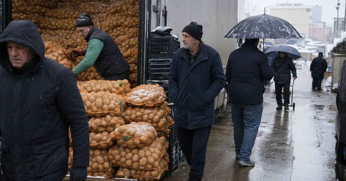 Alman çiftçiler zor durumda: Patates depoları dolu, talep az