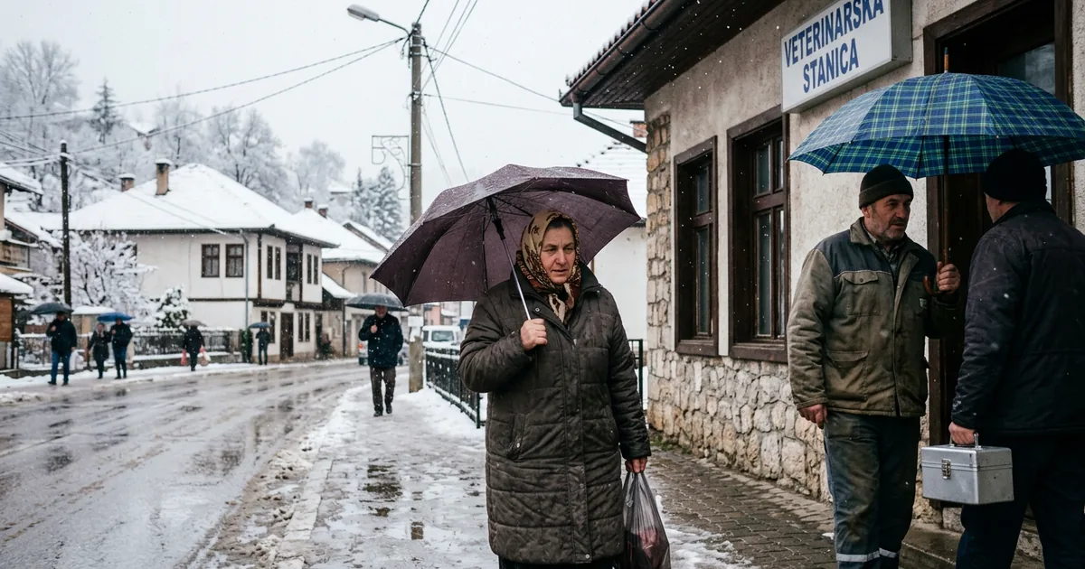 Bosna Hersek'te koyun ve keçilerde çiçek hastalığı riski