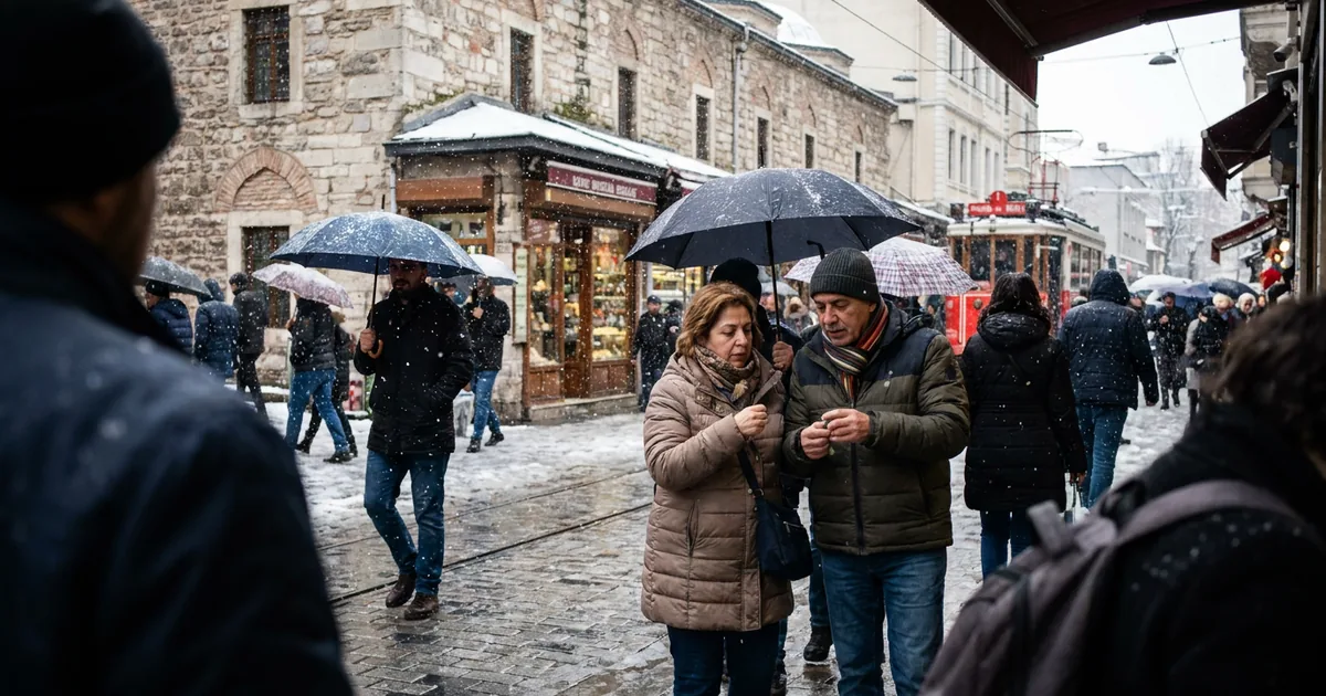 Goca Tržan ve Raša Novaković’in 3 şirketi: 34 milyon dinarlık gelir