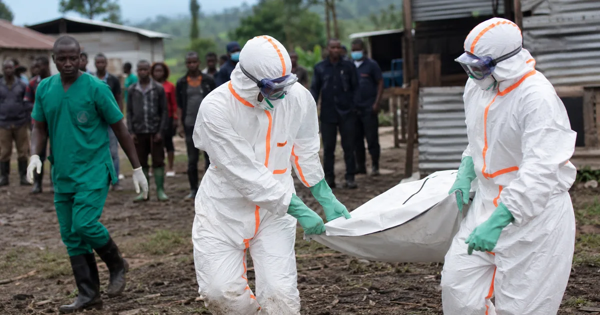 Kongo'da Ebola dehşeti: Nadir Bundibugyo türü yayılıyor