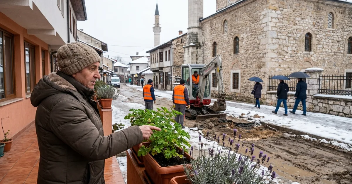 Terasta sivrisinekten kurtulun: İşte kovucu bitkiler