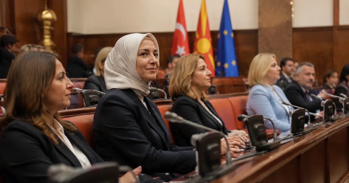 AK Parti'den Kuzey Makedonya'ya ziyaret: İş birliği vurgusu
