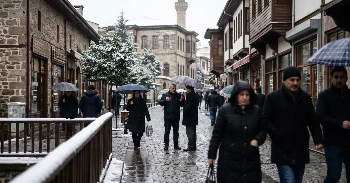 22 milyon euroya Stockholm büyüklüğünde orman satışı - Bosna Haber