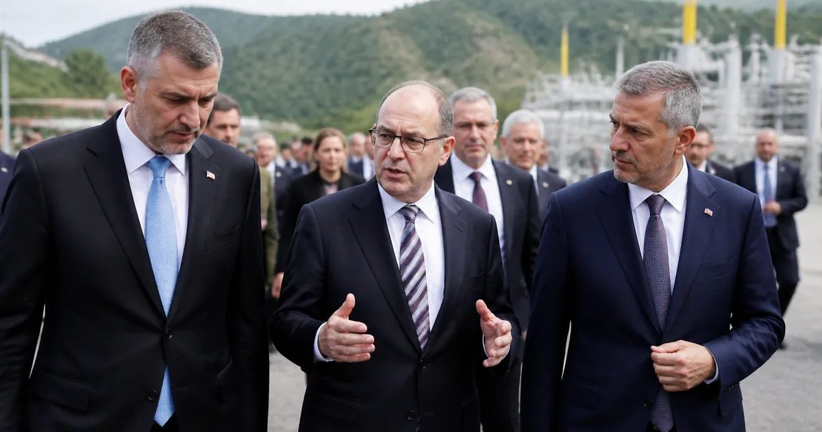 Alman Basını Bosna'daki Güney Enterkonneksiyonunu Yorumladı
