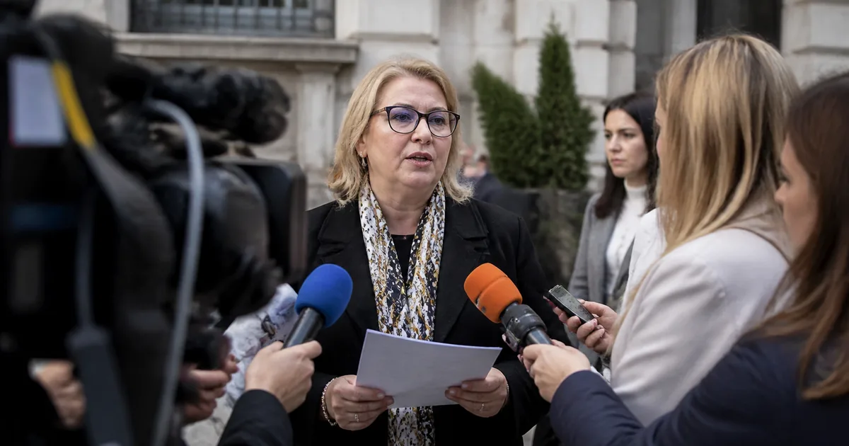 Bosna Hersek Gazeteciler Birliği'nden Medya Özgürlüğü Uyarısı